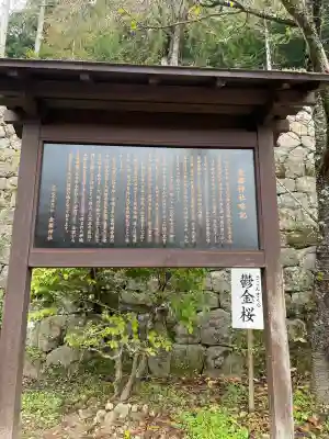 金櫻神社(山梨県)
