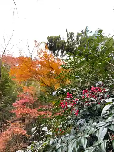 平山観音院の自然