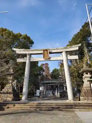 針綱神社(愛知県)