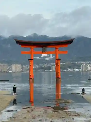 厳島神社の{uncategorized: "未分類", other: "その他", undefined: "問題あり", building: "その他建物", grave: "お墓", sacred_gate: "鳥居", guardian: "狛犬", statue: "像", buddha: "仏像", history: "歴史", nature: "自然", garden: "庭園", animal: "動物", pagoda: "塔", temizu: "手水舎", mountain_gate: "山門・神門", sanctuary: "本殿・本堂", subordinate: "末社・摂社", art: "芸術", scenery: "景色", jizo: "地蔵", ema: "絵馬", goshuin: "御朱印", omikuji: "おみくじ", items: "授与品その他", amulet: "お守り", goshuincho: "御朱印帳", eats: "食事", festival: "お祭り", votive_dance: "神楽", shichigosan: "七五三参", wedding: "結婚式", experience: "体験その他", initially: "初詣", around: "周辺", anti_infection: "感染症対策"}