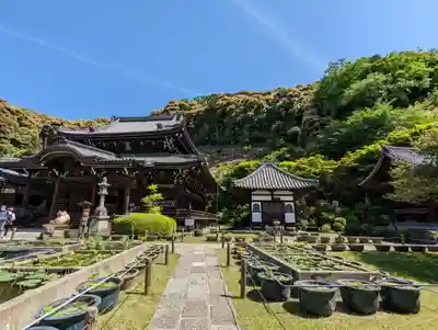 三室戸寺(京都府)