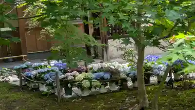 勝林寺(京都府)