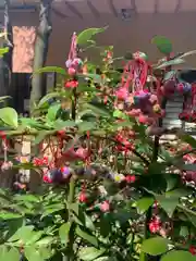 赤坂氷川神社(東京都)