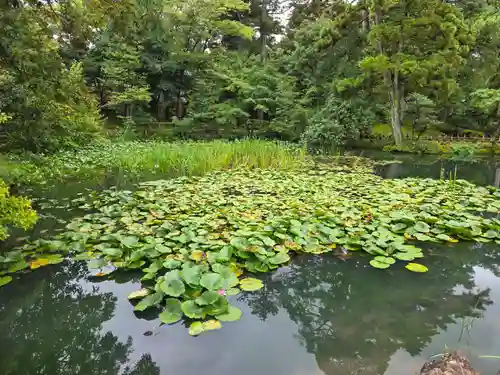 金澤神社(石川県)