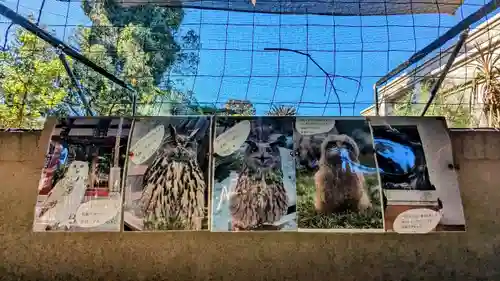 柏諏訪神社の動物