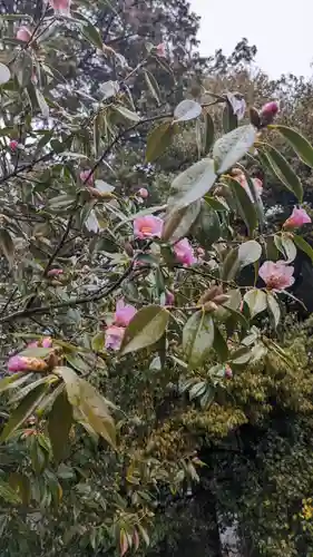 長岡天満宮(京都府)