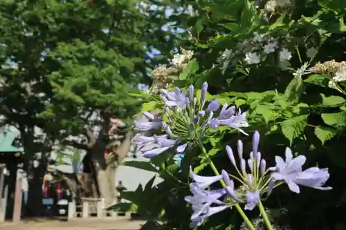 阿邪訶根神社の庭園