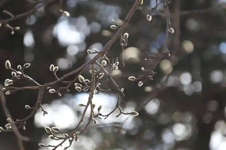 豊景神社の自然