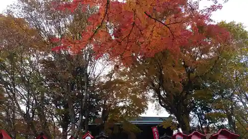 碓氷峠熊野神社の自然