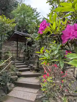 白金氷川神社(東京都)
