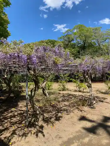 鎌数伊勢大神宮(千葉県)
