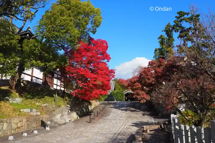 くろ谷 金戒光明寺(京都府)