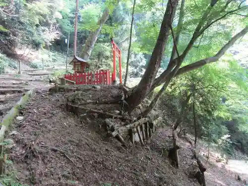 醍醐寺(京都府)