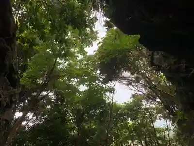 神社（名称不明）の自然