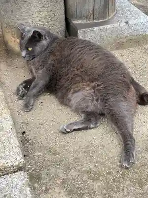 千光寺(広島県)