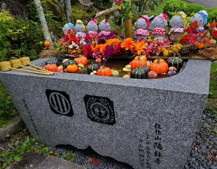 陽林寺の手水舎