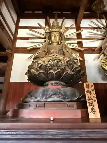 根来寺の{uncategorized: "未分類", other: "その他", undefined: "問題あり", building: "その他建物", grave: "お墓", sacred_gate: "鳥居", guardian: "狛犬", statue: "像", buddha: "仏像", history: "歴史", nature: "自然", garden: "庭園", animal: "動物", pagoda: "塔", temizu: "手水舎", mountain_gate: "山門・神門", sanctuary: "本殿・本堂", subordinate: "末社・摂社", art: "芸術", scenery: "景色", jizo: "地蔵", ema: "絵馬", goshuin: "御朱印", omikuji: "おみくじ", items: "授与品その他", amulet: "お守り", goshuincho: "御朱印帳", eats: "食事", festival: "お祭り", votive_dance: "神楽", shichigosan: "七五三参", wedding: "結婚式", experience: "体験その他", initially: "初詣", around: "周辺", anti_infection: "感染症対策"}