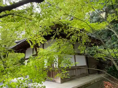 岩屋寺のその他建物