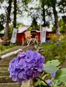 蚊里田八幡宮(長野県)(2025年07月15日(火) 12時35分01秒投稿)