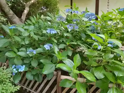 元慶寺(京都府)