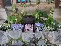 滋賀県護国神社の手水舎