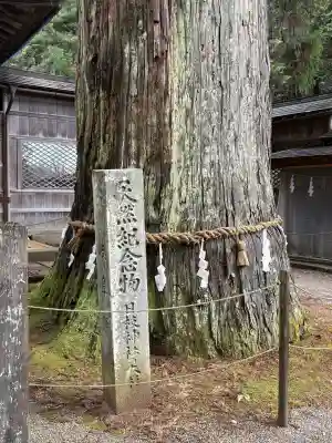 日枝神社の{uncategorized: "未分類", other: "その他", undefined: "問題あり", building: "その他建物", grave: "お墓", sacred_gate: "鳥居", guardian: "狛犬", statue: "像", buddha: "仏像", history: "歴史", nature: "自然", garden: "庭園", animal: "動物", pagoda: "塔", temizu: "手水舎", mountain_gate: "山門・神門", sanctuary: "本殿・本堂", subordinate: "末社・摂社", art: "芸術", scenery: "景色", jizo: "地蔵", ema: "絵馬", goshuin: "御朱印", omikuji: "おみくじ", items: "授与品その他", amulet: "お守り", goshuincho: "御朱印帳", eats: "食事", festival: "お祭り", votive_dance: "神楽", shichigosan: "七五三参", wedding: "結婚式", experience: "体験その他", initially: "初詣", around: "周辺", anti_infection: "感染症対策"}