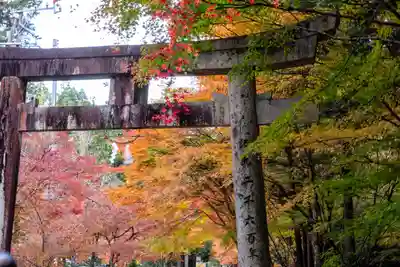 大矢田神社(岐阜県)