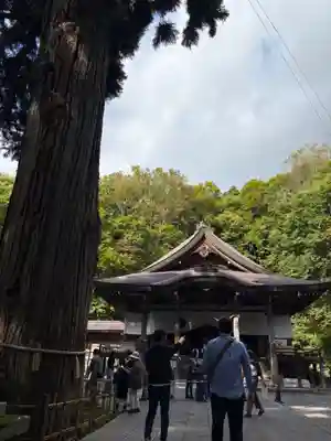 戸隠神社中社(長野県)