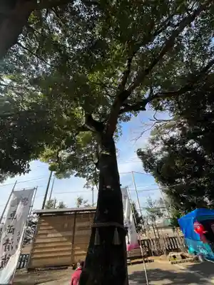 大宮・大原神社(千葉県)