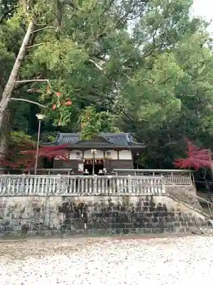 熊野三所神社の本殿・本堂