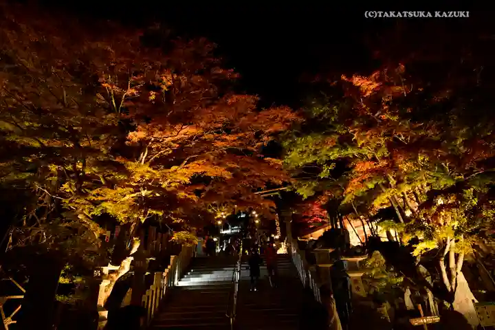 大山阿夫利神社の景色