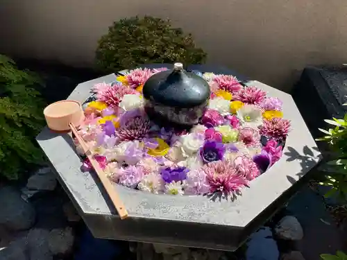 神楽坂安養寺(東京都)