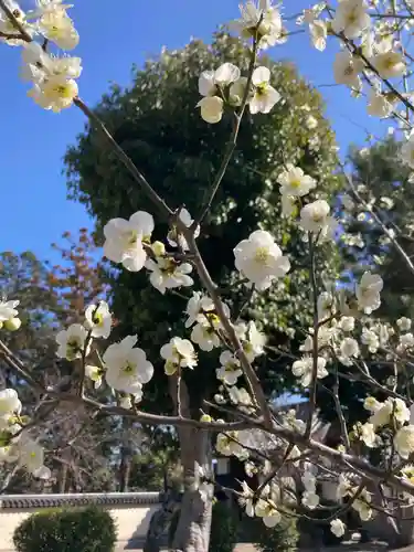 西大寺(奈良県)