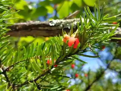 比布神社(北海道)