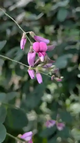 梨木神社(京都府)