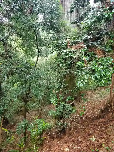 一之宮貫前神社(群馬県)
