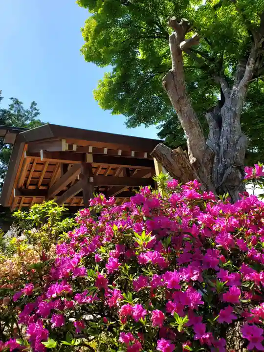 開成山大神宮(福島県)