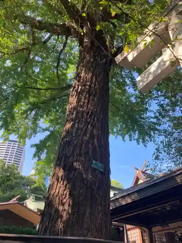 熊野神社の自然