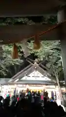 新琴似神社の初詣