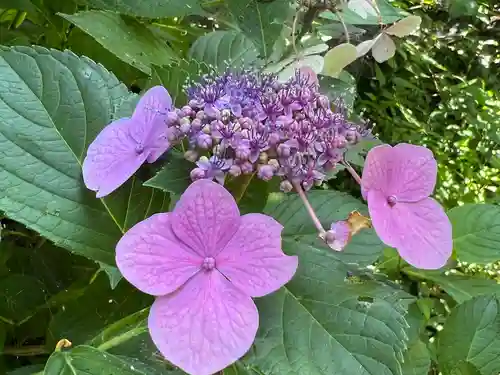 志度寺(香川県)
