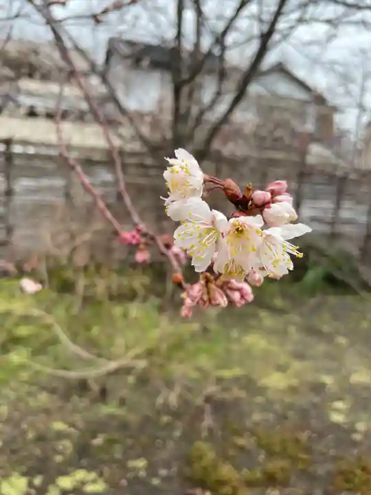 元興寺(奈良県)