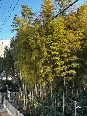 不知森神社の{uncategorized: "未分類", other: "その他", undefined: "問題あり", building: "その他建物", grave: "お墓", sacred_gate: "鳥居", guardian: "狛犬", statue: "像", buddha: "仏像", history: "歴史", nature: "自然", garden: "庭園", animal: "動物", pagoda: "塔", temizu: "手水舎", mountain_gate: "山門・神門", sanctuary: "本殿・本堂", subordinate: "末社・摂社", art: "芸術", scenery: "景色", jizo: "地蔵", ema: "絵馬", goshuin: "御朱印", omikuji: "おみくじ", items: "授与品その他", amulet: "お守り", goshuincho: "御朱印帳", eats: "食事", festival: "お祭り", votive_dance: "神楽", shichigosan: "七五三参", wedding: "結婚式", experience: "体験その他", initially: "初詣", around: "周辺", anti_infection: "感染症対策"}