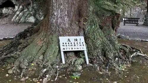 安房神社(千葉県)
