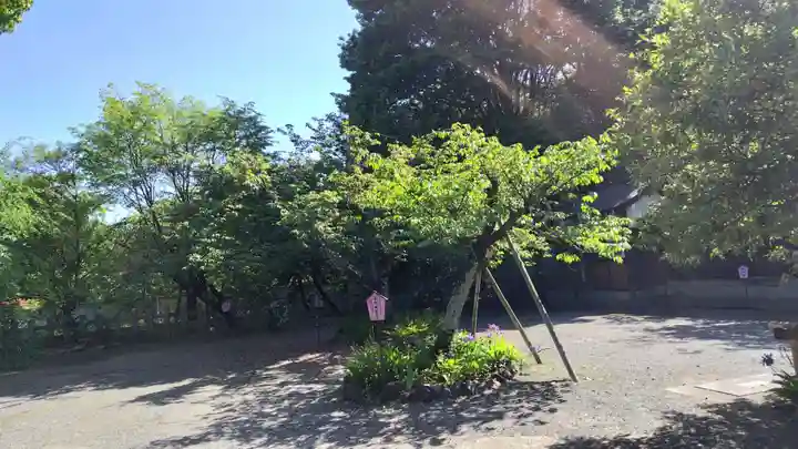 平野神社(京都府)