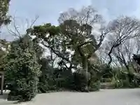 上知我麻神社(熱田神宮摂社)(愛知県)