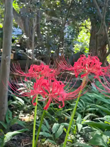 宝戒寺(神奈川県)