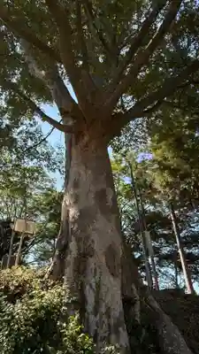 二俣神社(宮城県)