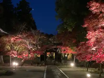 東漸寺(千葉県)
