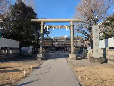 浅草神社のお祭り