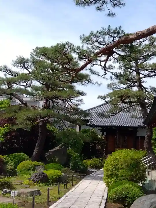 善明寺(東京都)